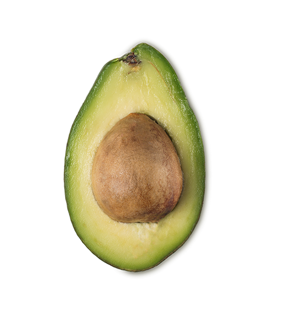 Avocado