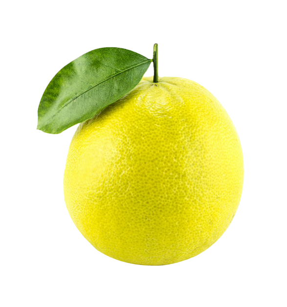 Bergamot