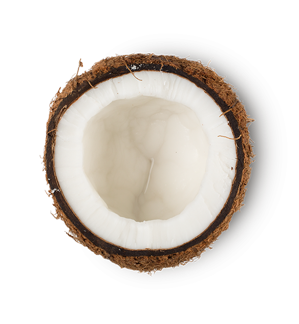 Coconut