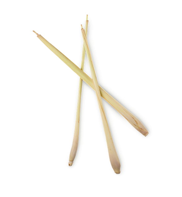 Lemongrass