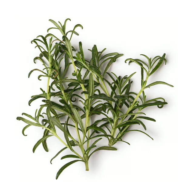 Rosemary